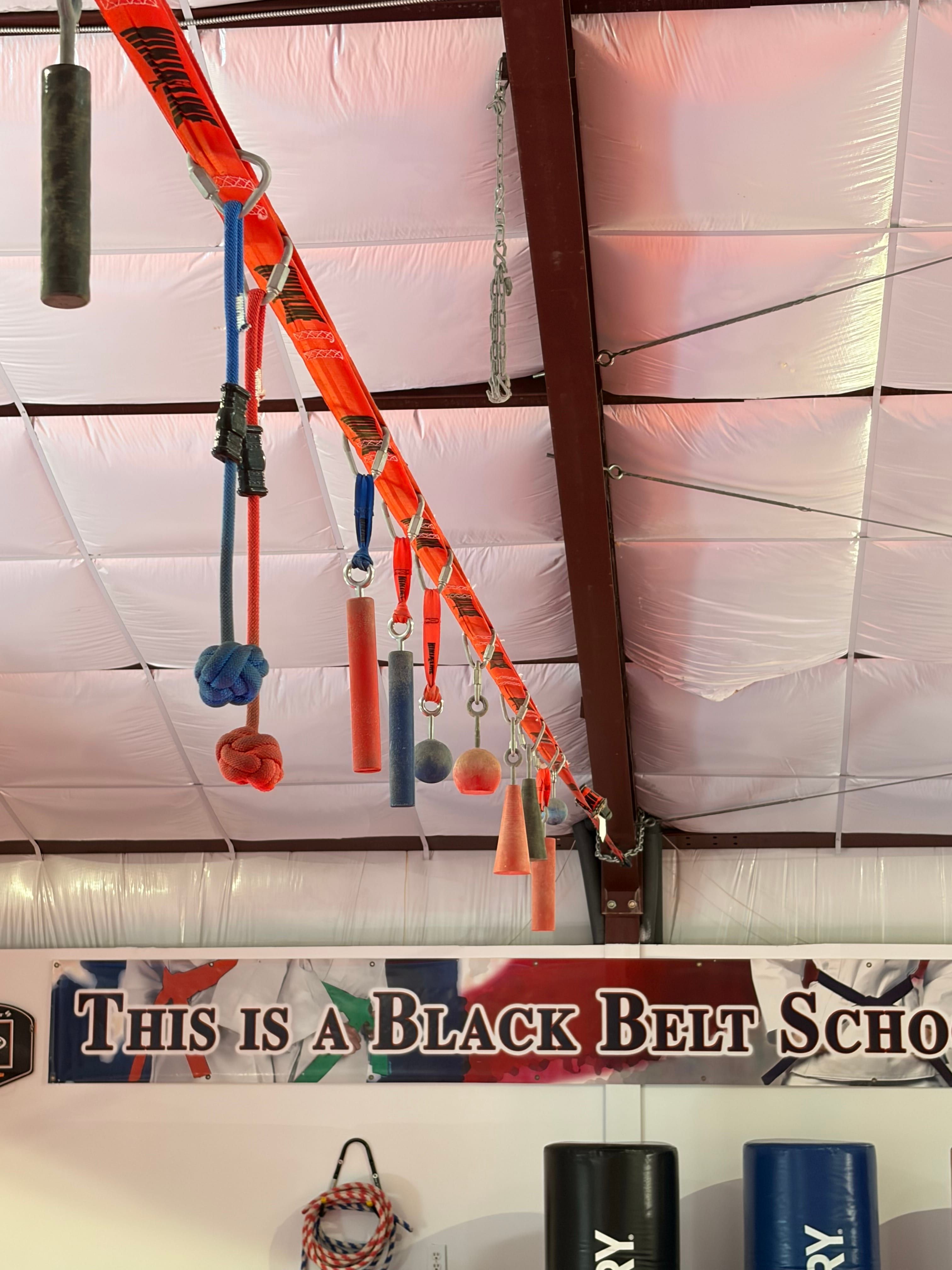 The ninja line strung across the middle of the dojo, a hanging grip-and-balance obstacle course